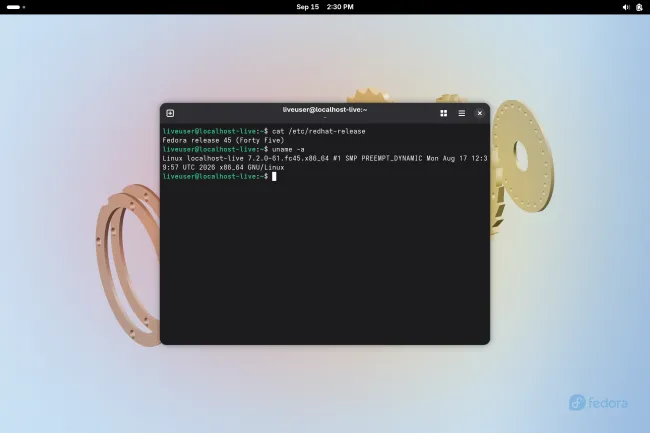 image-1.webp
