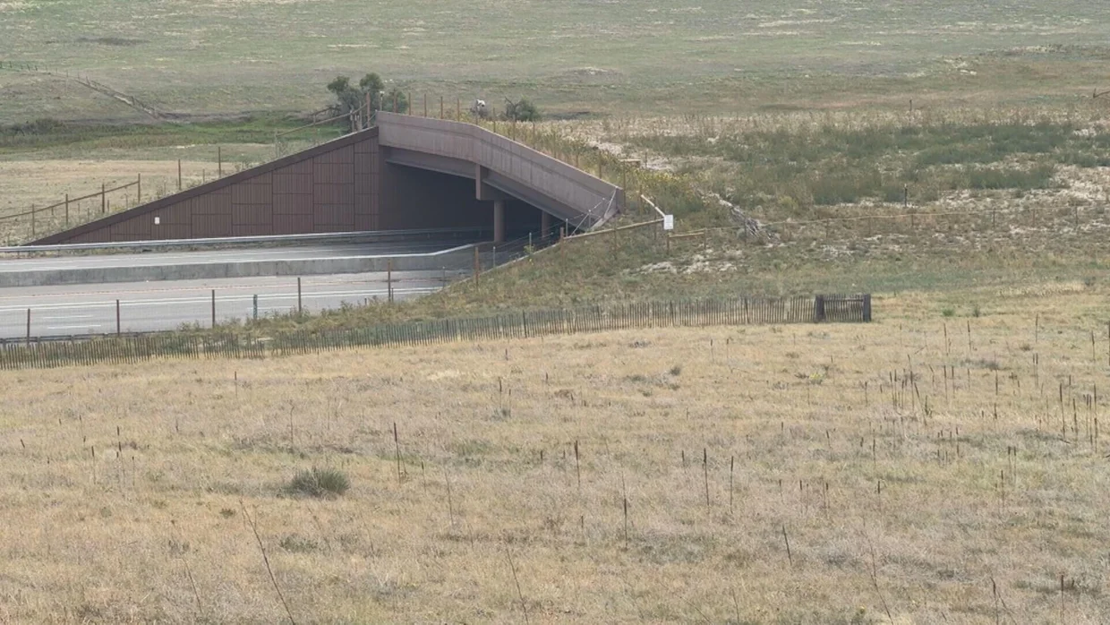 i-25-wildlife-overpass-10pkg-transfer-frame-840.webp