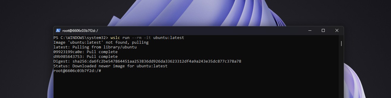 wslc-ubuntu.jpg