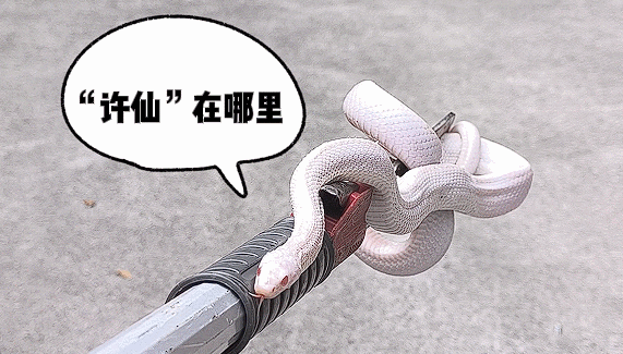 76818334c36b4f40af21cc89af7e33c1.gif
