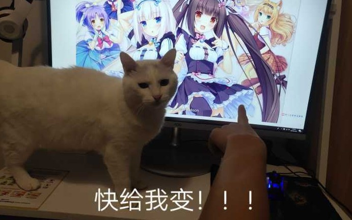 什么，科学家真能造出猫娘了？