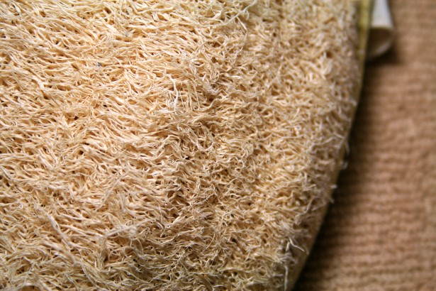 loofah-scrub-and-cloth.jpg