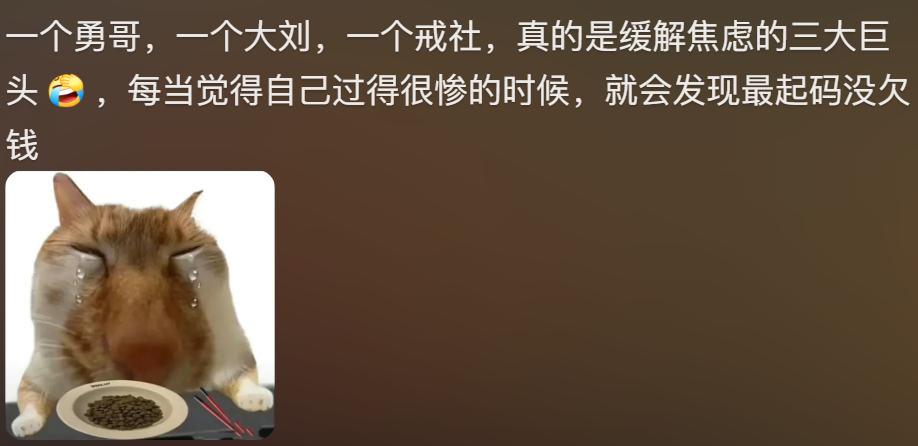今年最乐的电子榨菜，是被两百万人围观的卧龙凤雏创业史
