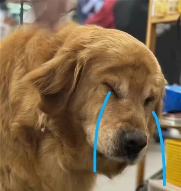 新国标要来了：你可能再也买不到9块9的充电宝了