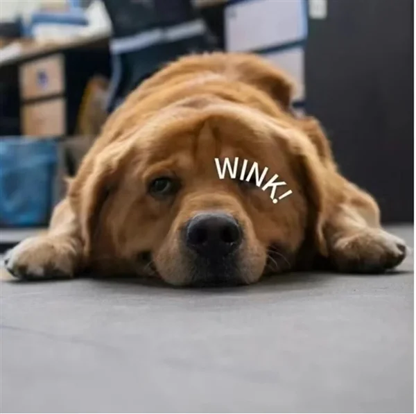 新国标要来了：你可能再也买不到9块9的充电宝了