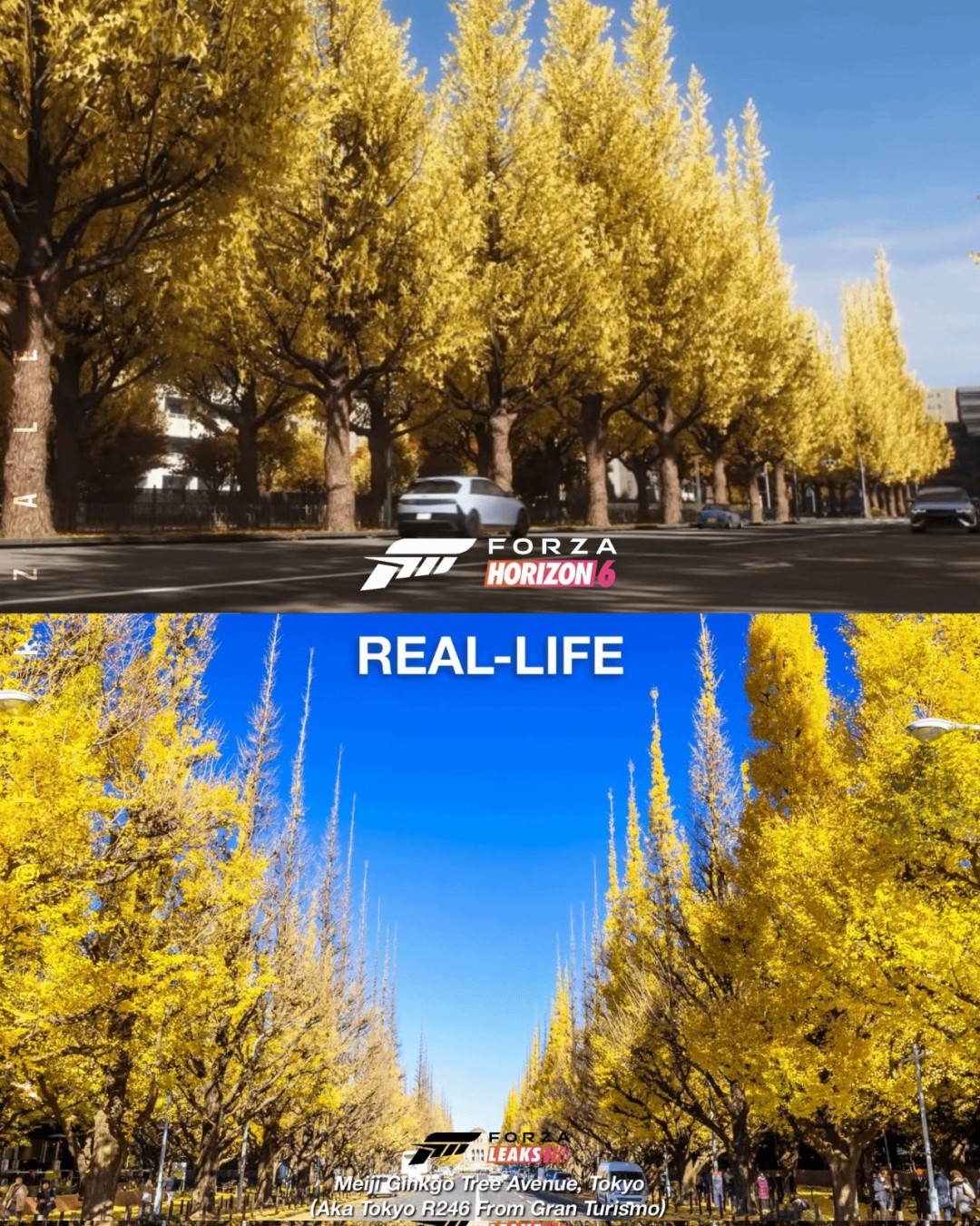 《极限竞速:地平线6》游戏画面与现实对比 真假难辨!