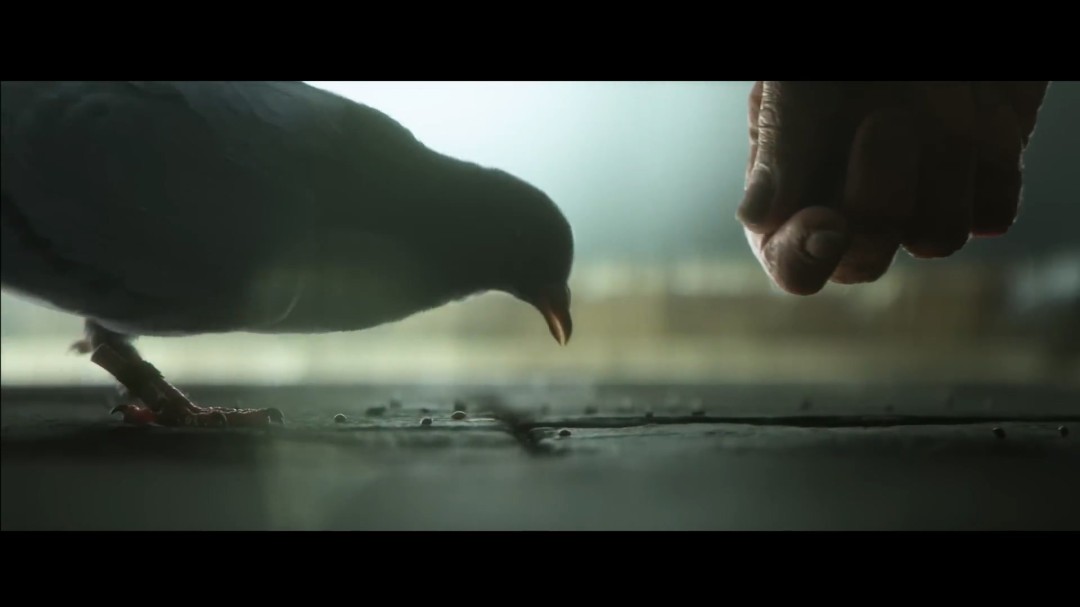 《暗黑破坏神4：憎恨之王》开场CG动画 中文配音