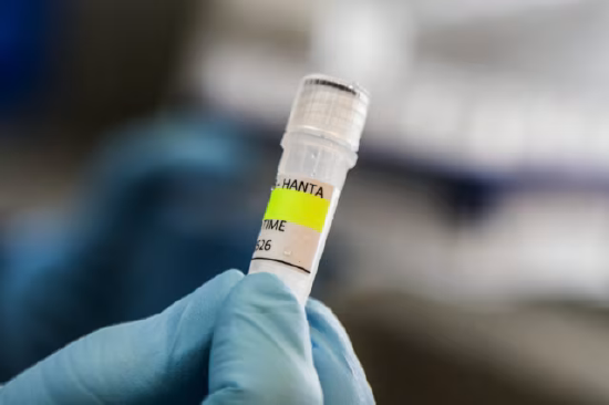 Durante anos, os cientistas têm procurado medicamentos eficazes para tratar os hantavírus.